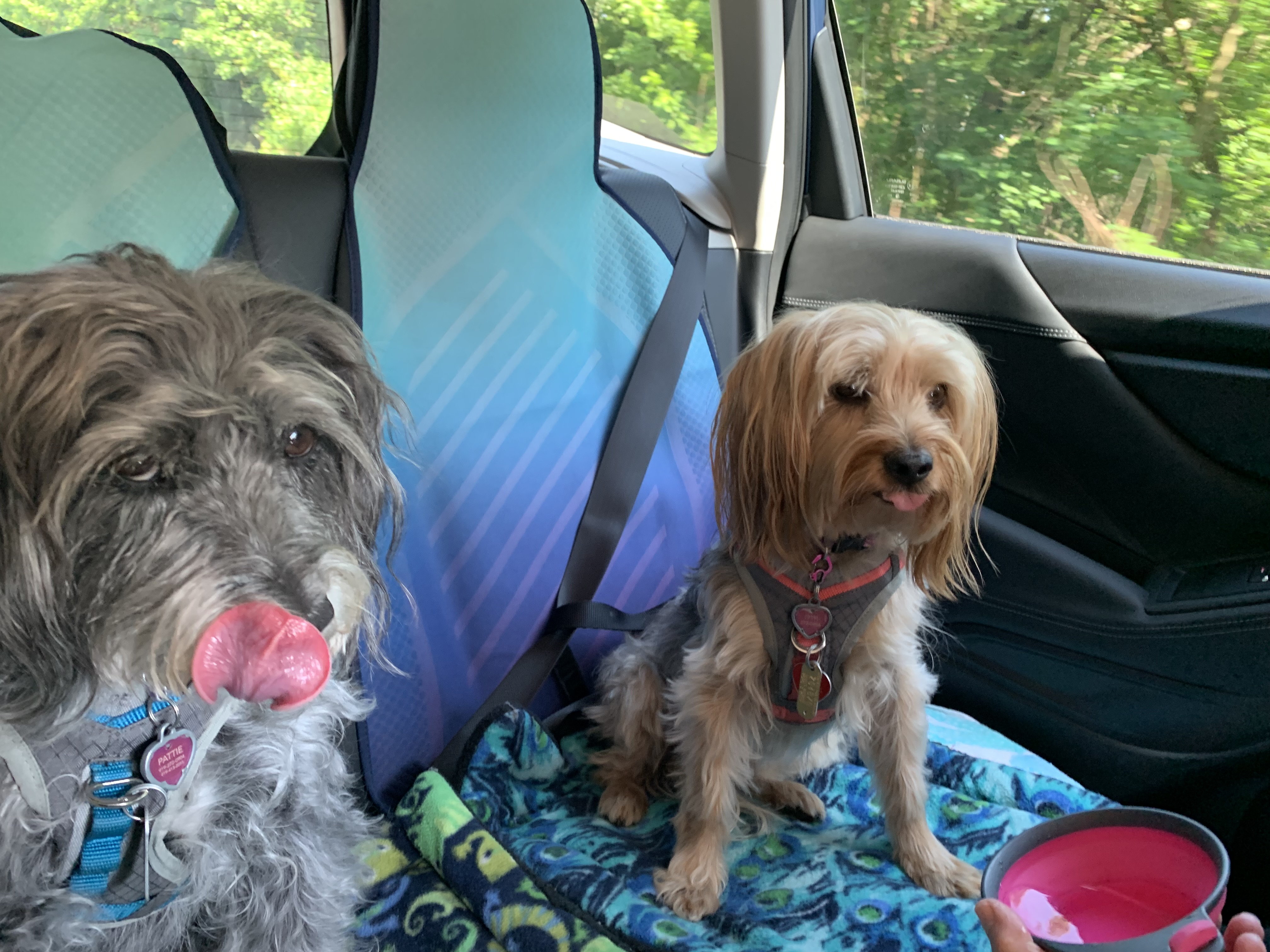 ./2022/06 - St Louis/01 - Day 1/20220521-163919.JPG